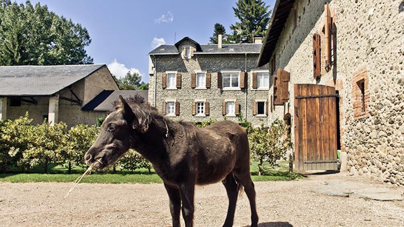 Mas Sant Marc Country house *